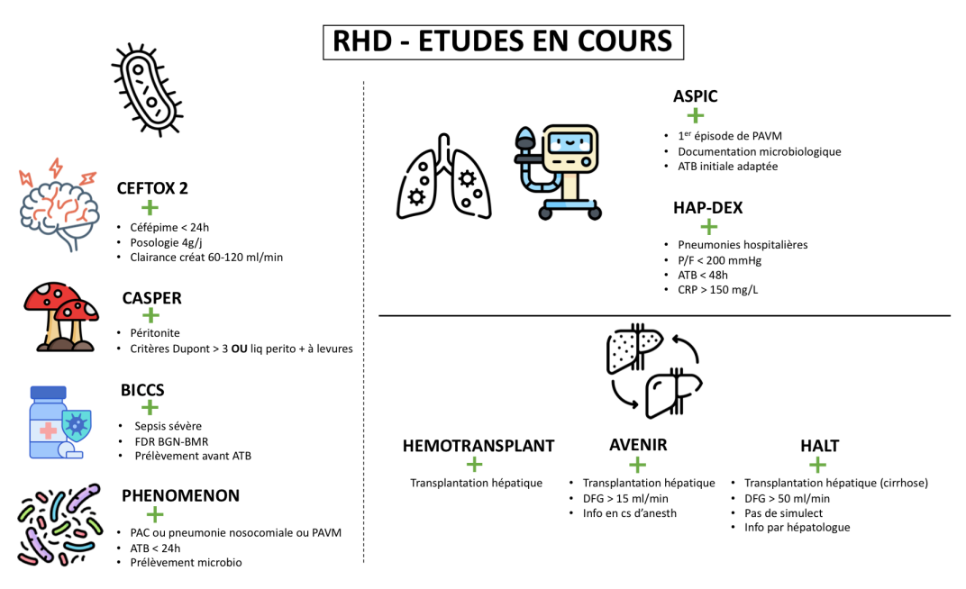 Études en cours
